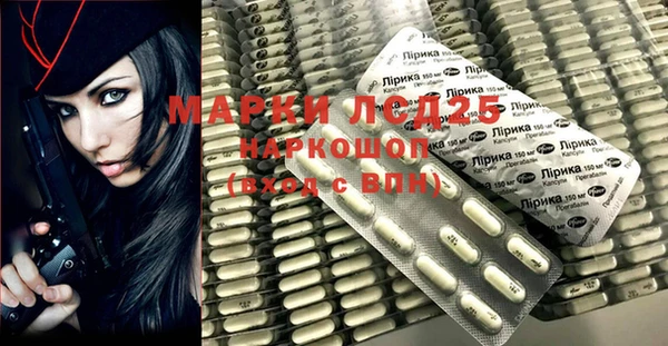 ПСИЛОЦИБИНОВЫЕ ГРИБЫ Алзамай