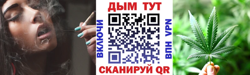 где можно купить   Тамбов  Конопля SATIVA & INDICA 